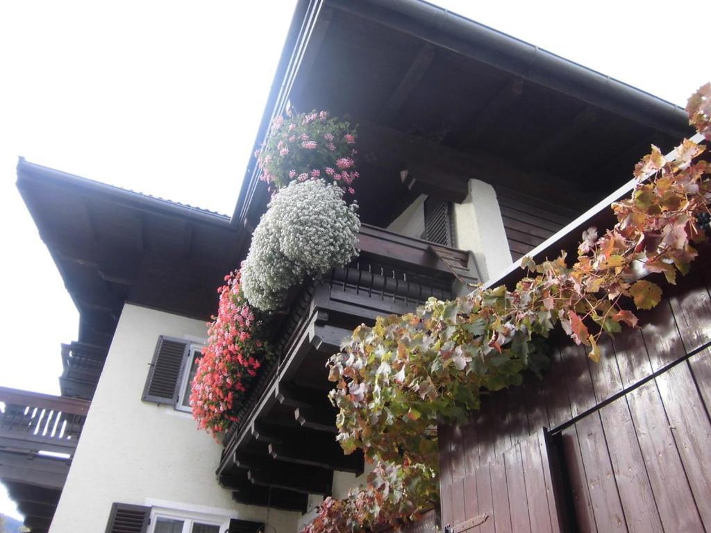 Apartment Anna Viehhofen Esterno foto